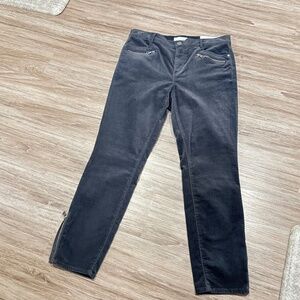 NWT Loft Charcoal Grey Velvet  Modern Skinny Jeans, Size 10